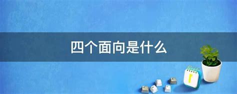 面向|面向是什么意思